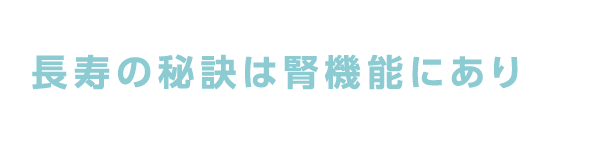 GFRと腎臓病