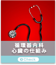 循環器内科　１心臓の仕組み