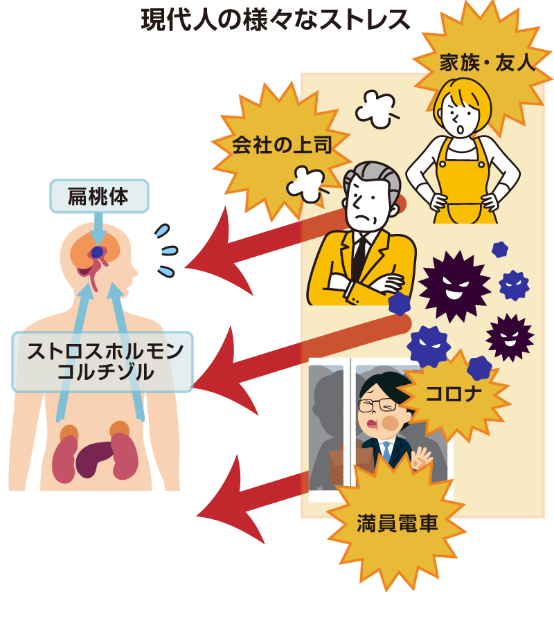 ストレスと自律神経