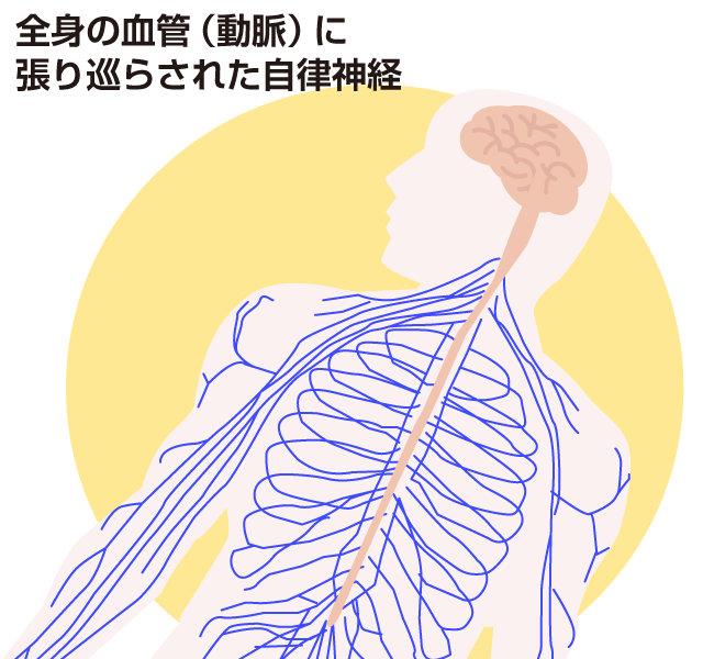 ストレスの生理学