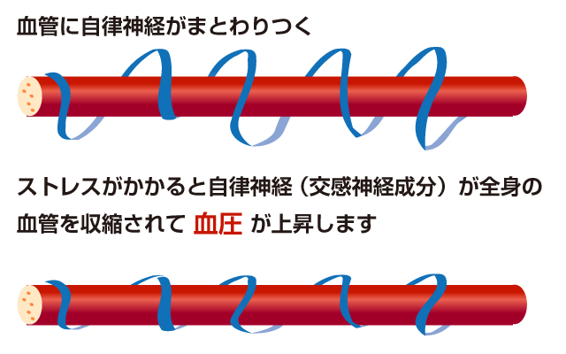 ストレスの生理学