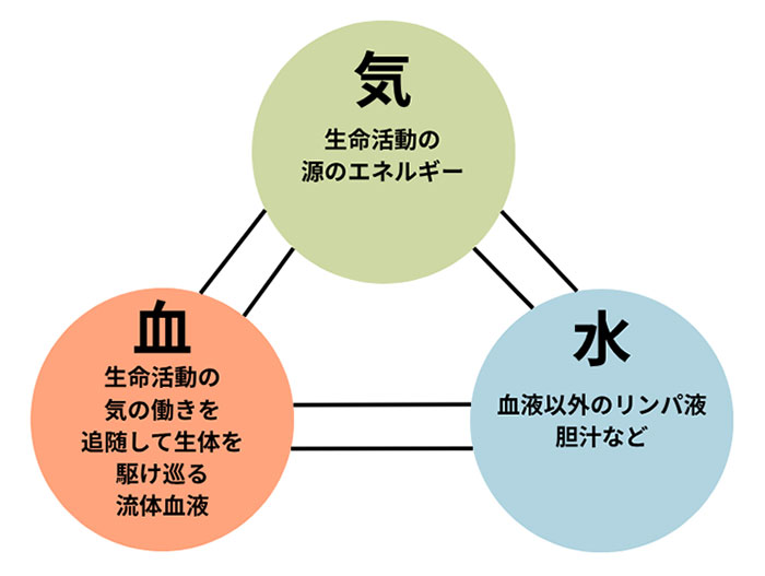 漢方への一歩