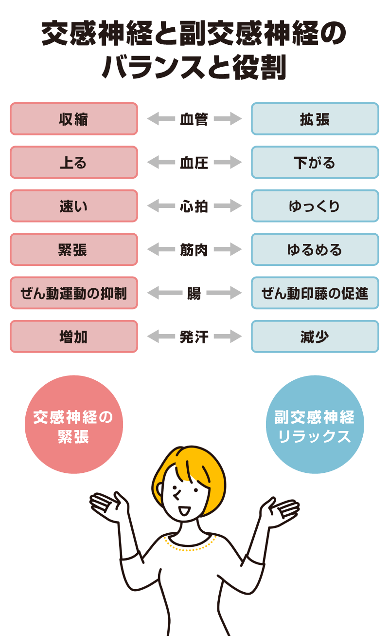 交換神経と副交感神経のバランスと役割