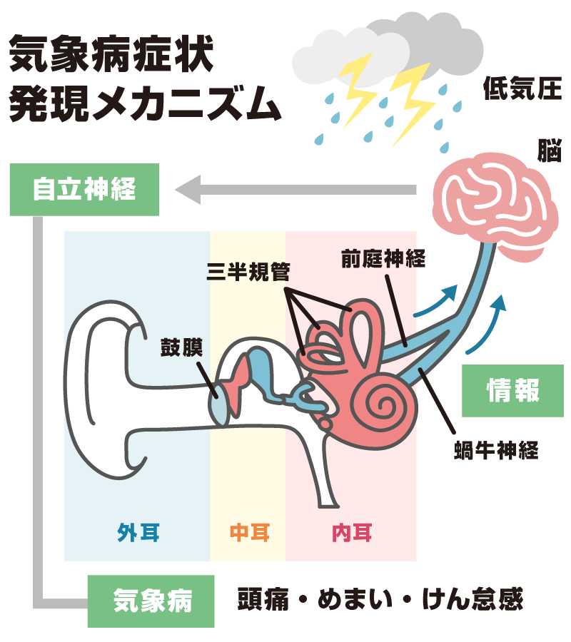 起床病症状発言メカニズム